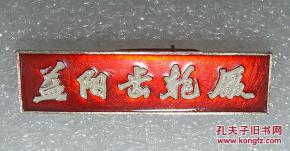 益阳齿轮厂 铝章 证章 益阳 齿轮厂
